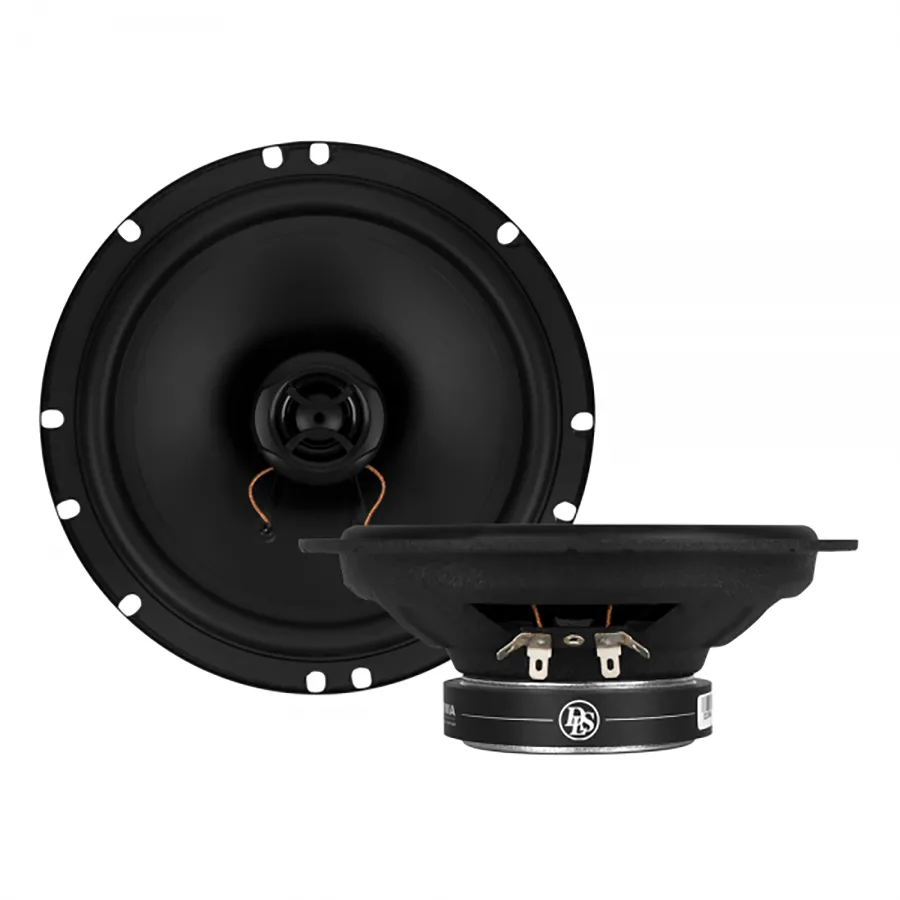 Loa cánh đồng trục DLS PA6