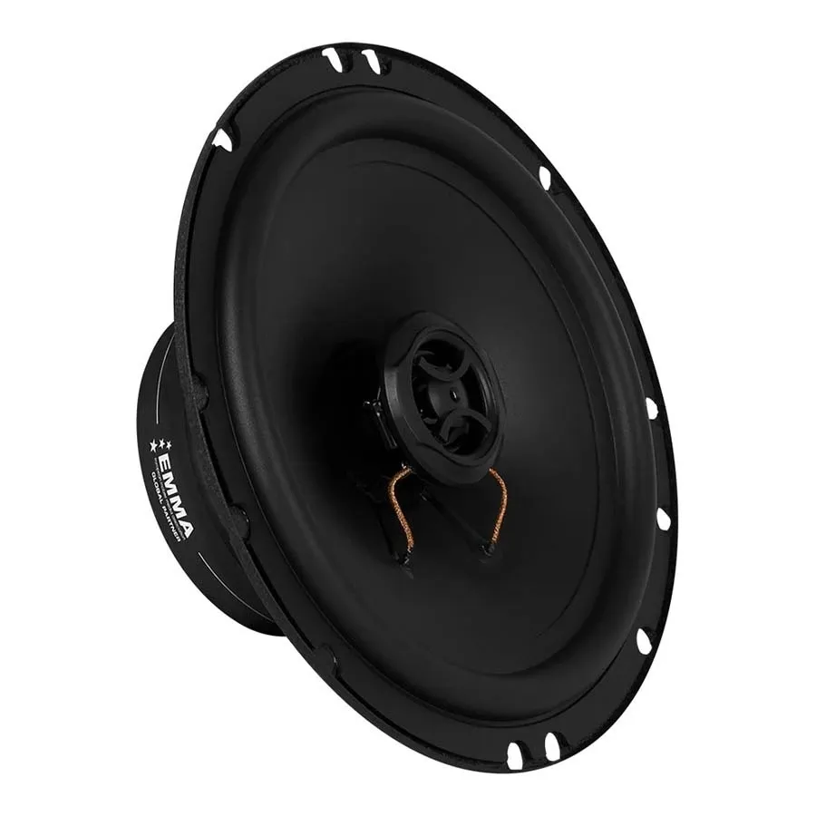 Loa cánh đồng trục DLS PA6