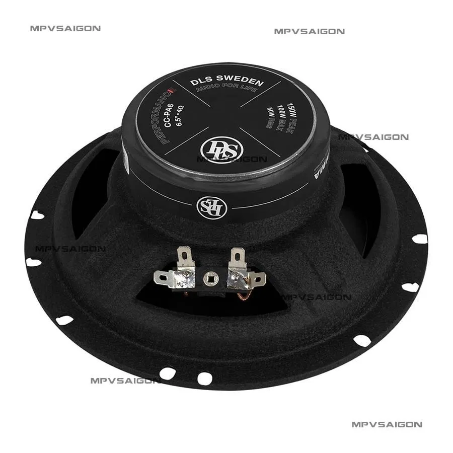 Loa cánh đồng trục DLS PA6