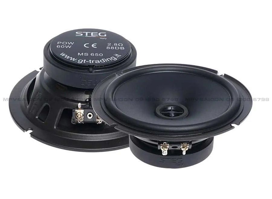 Loa cánh đồng trục STEG MS650