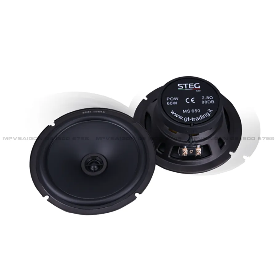 Loa cánh đồng trục STEG MS650