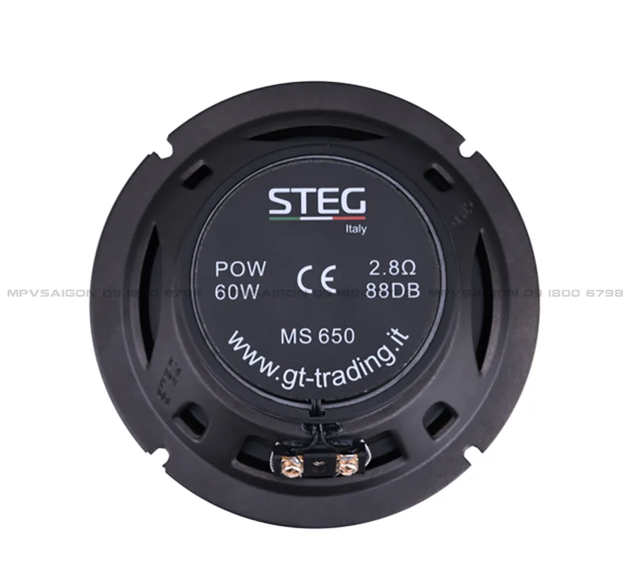 Loa cánh đồng trục STEG MS650