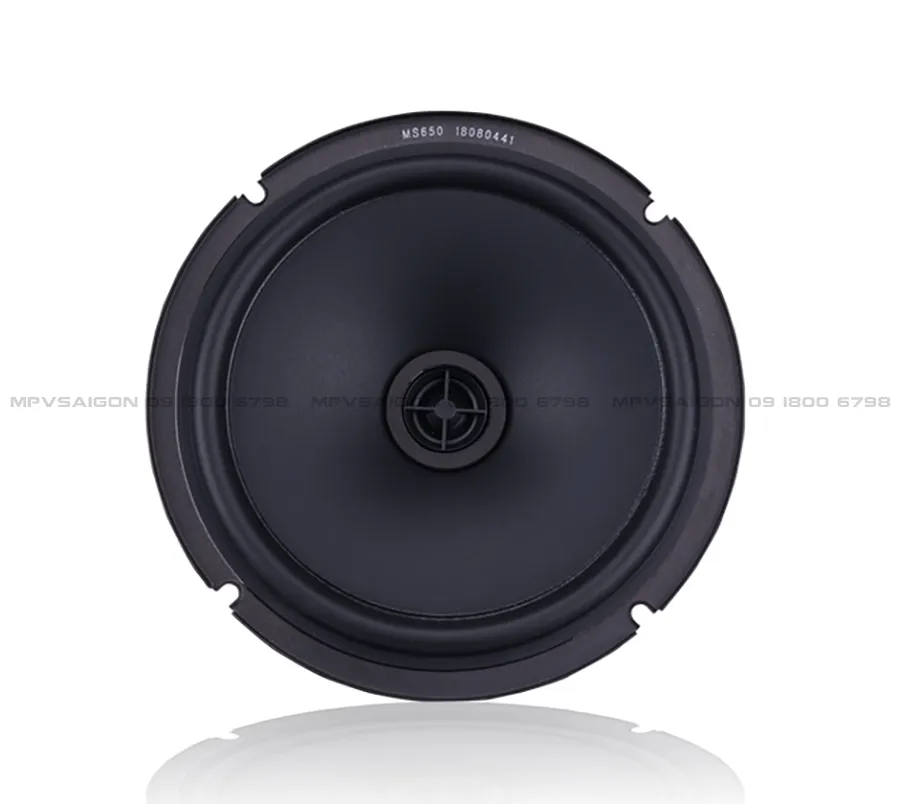 Loa cánh đồng trục STEG MS650