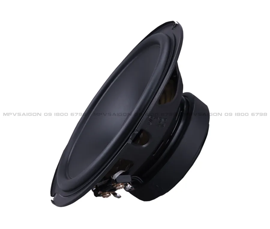 Loa cánh đồng trục STEG MS650