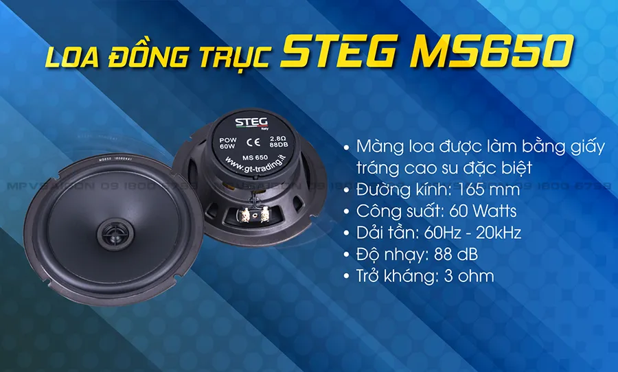Loa cánh đồng trục STEG MS650