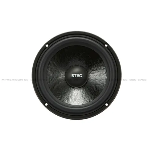 Loa cánh phân tần 2-way STEG MZ650C