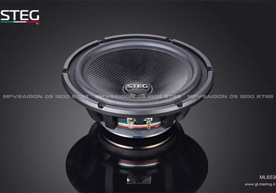 Loa cánh phân tần 3 way Steg ML 653C