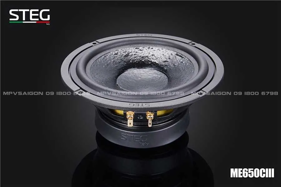 LOA CÁNH PHÂN TẦN - LOA STEG ME-650C III
