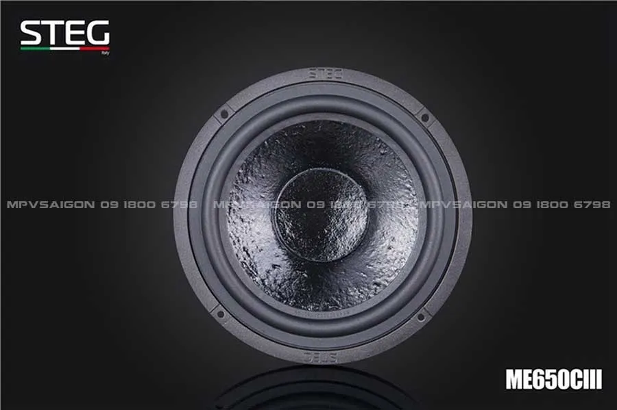 LOA CÁNH PHÂN TẦN - LOA STEG ME-650C III