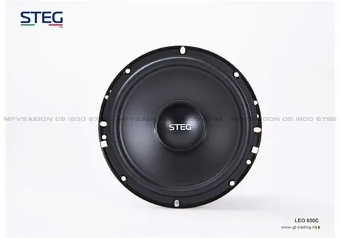 Loa cánh phân tần STEG LEO - 650C