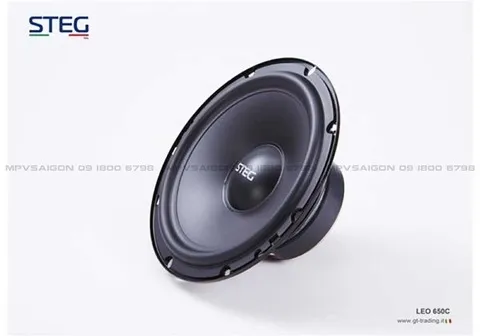 Loa cánh phân tần STEG LEO - 650C