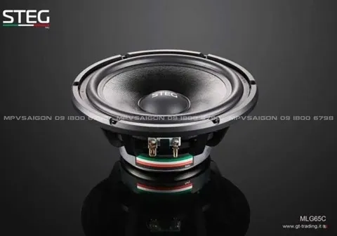 Loa cánh phân tần Steg MLG65C