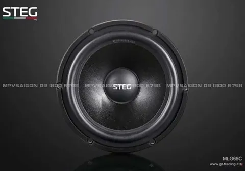 Loa cánh phân tần Steg MLG65C