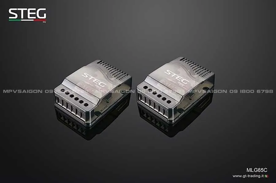 Loa cánh phân tần Steg MLG65C