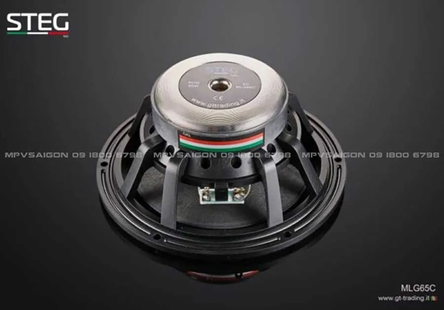 Loa cánh phân tần Steg MLG65C