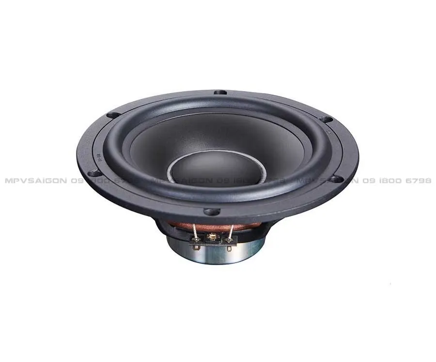 Loa Masterstroke STEG SS-652C