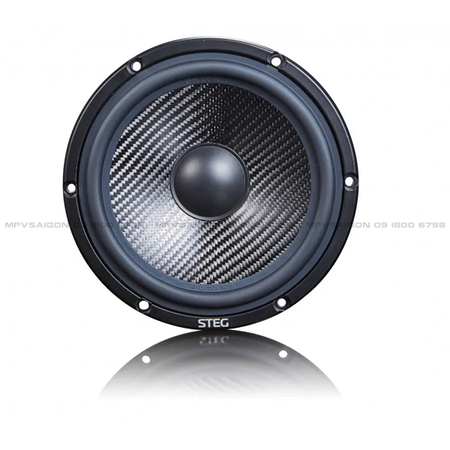 Loa Woofer Master Stroke MSS6