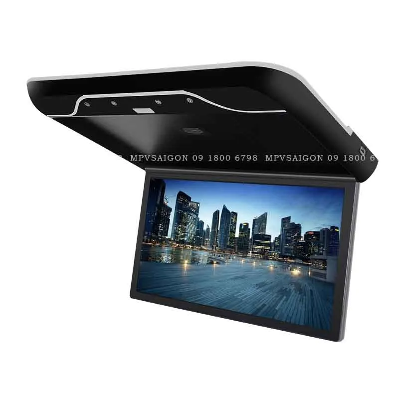 Màn hình trần Panorama cho xe cửa sổ trời toàn cảnh