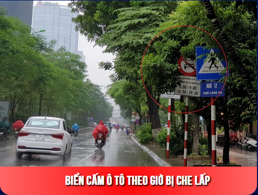 Vietmap Live Pro- Phần mềm dẫn đường và cảnh báo giao thông (Chính hãng)